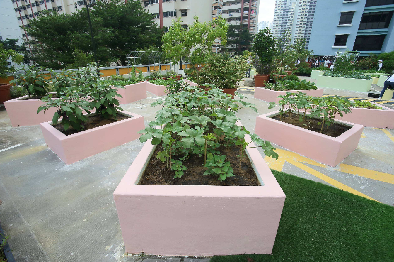 Image shows greenery at kim tian roof garden